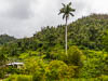 Caribbean Dominica - LII