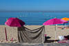 MS Flow Mallorca - LXXVIII