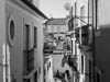 MS Flow Lissabon - DXLI