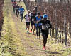 Crosslauf 2017 Reichenau - III