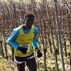 Crosslauf 2017 Reichenau - V