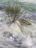 Rheinfall Schaffhausen (Hochwasser Juni 2016) - V