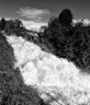 Rheinfall Schaffhausen (Hochwasser Juni 2016) - XV