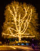 Christmas Garden - Insel Mainau - IX