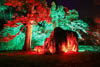 Christmas Garden - Insel Mainau - XVIII