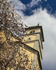 Konstanz Spring 2021 - V