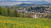 Sankt Gallen Spring 2021 - VI