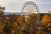 Schätzele-Markt Tengen Herbst 22 - II