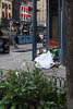 Northern America New York - IV