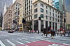 Northern America New York - LXXII