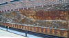 Northern America New York - CXXXI