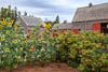 Northern America Charlottetown, Canada - I
