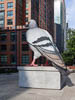 Northern America New York - CCLXV