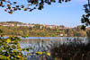 Mainau - Herbst 2019 - V