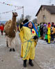 Fastnacht 2025 Steisslingen - XXXV